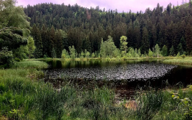 Wellness & Genuss Resort Engel