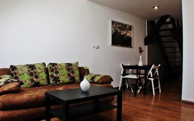 Cracovia 7 Kazimierz - Aao 48729