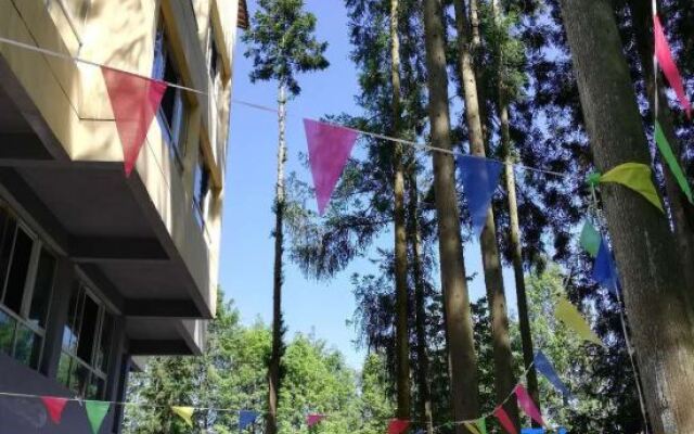 Shizhulinyoujubishushanzhuang