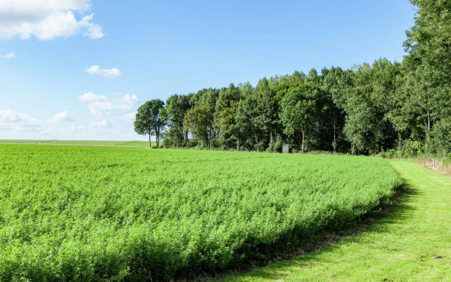 Peaceful Vacation Home With Wide View