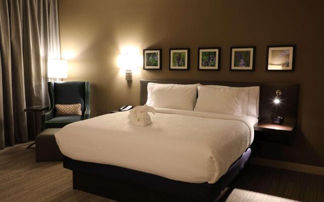 Hilton Garden Inn Austin Airport