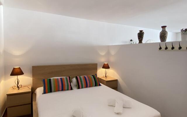 Hibiscus 7 San Juan de Capistrano