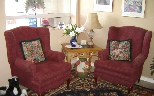 Tulip Inn