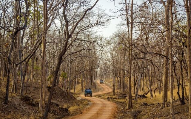 The Riverwood Forest Retreat - Pench