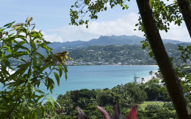 Mount Cinnamon Grenada