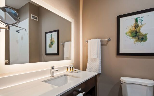 Holiday Inn Gonzales by IHG