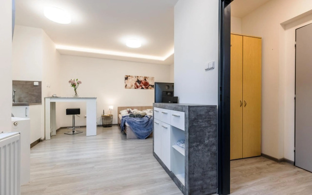 Modern apartments Brno-center