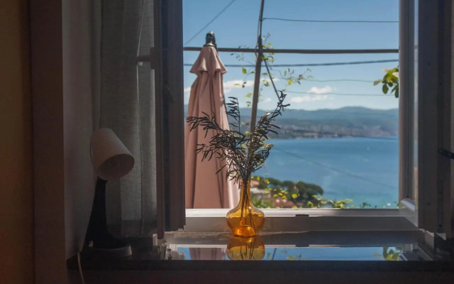 Kiwi Studio