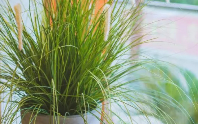 Yuansu City Guesthouse