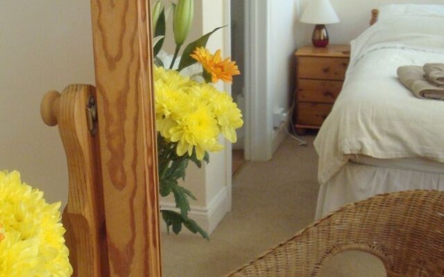Harlequin Guest House