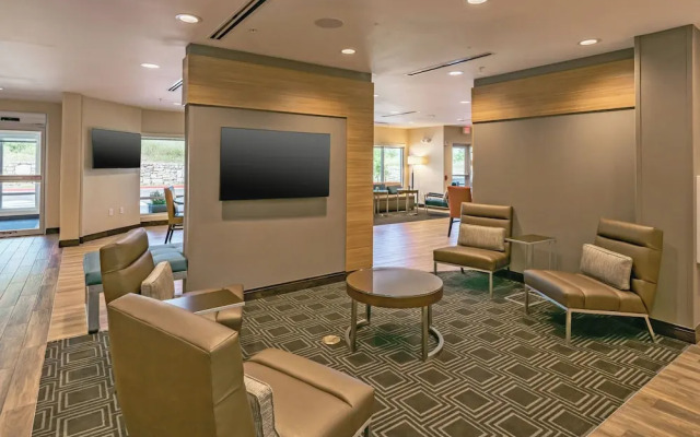 TownePlace Suites by Marriott Austin South