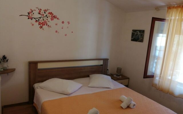 Apartment Branimir ll