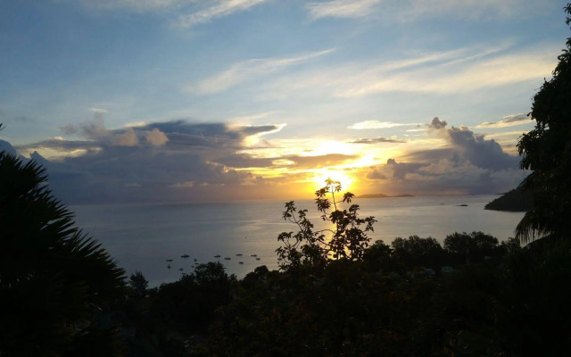 Mango Lodge