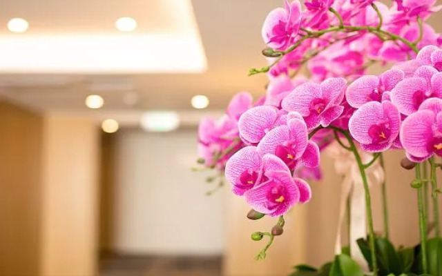 Yurong International Hotel