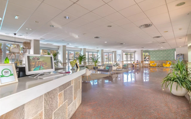 Apartamentos LIVVO Koala Garden