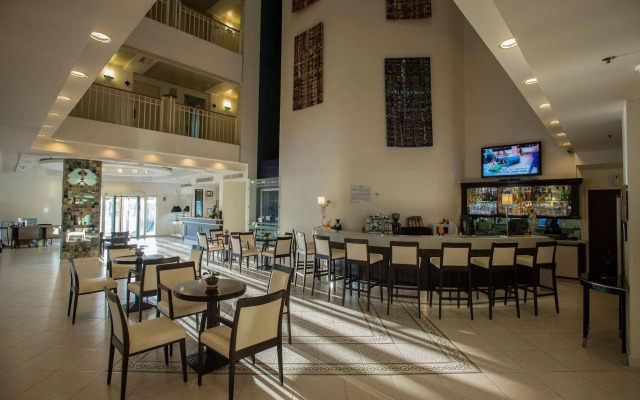 Brown Eilat