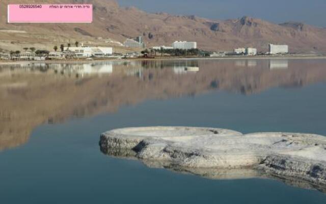 Nadia Hosting Dead Sea