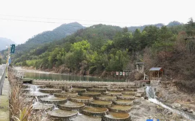 M Y Boutique Homestay