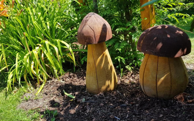 Ferienhaus Sonnentau