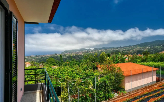 Os Ferreirinhos a Home in Madeira