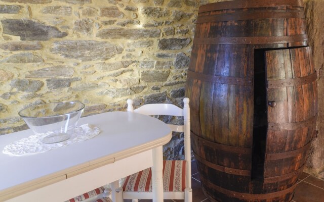 Sobreiros's Villa in Douro Valley