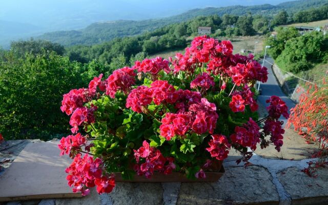 La Zizzania e il Mandarino