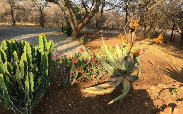 Giraffe Lodge
