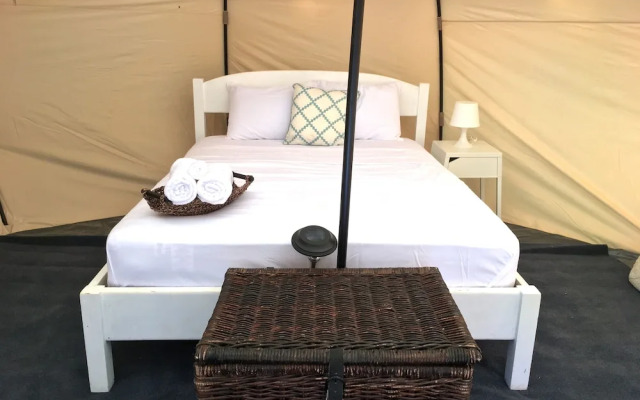 Driftwood Glamping and Boutique Hotel