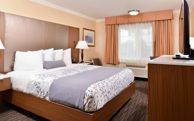 Best Western Airpark Hotel - LAX Airport LA  Stadium