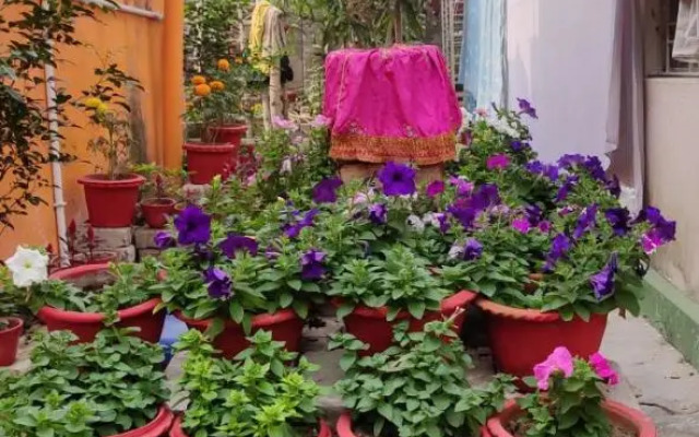 Kiran Guest House