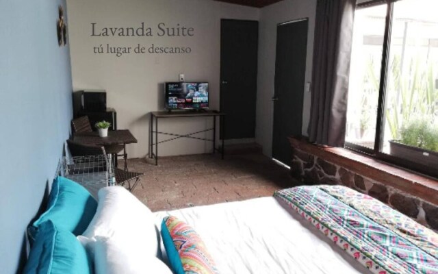 Lavanda Suite Polanco, The Stay That You Deserve