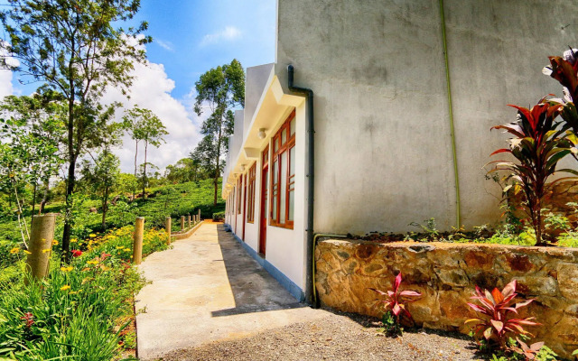 The Tea Tree Resort