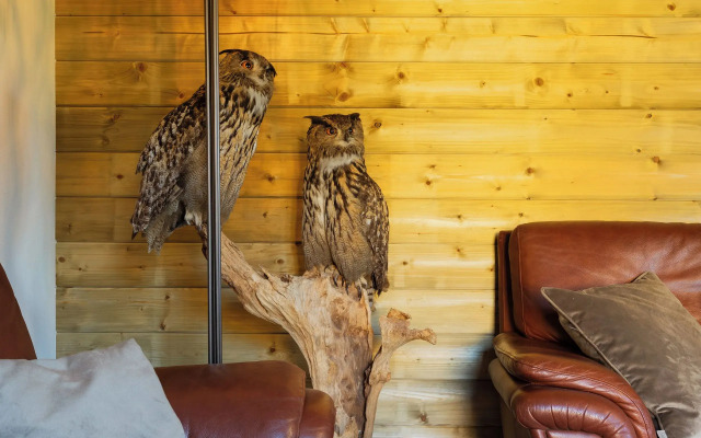 Dwór Myśliwski Hubertus