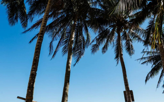 YOYO Beach Getaway
