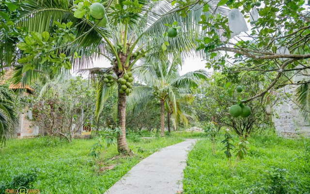 Up Village Phu Quoc