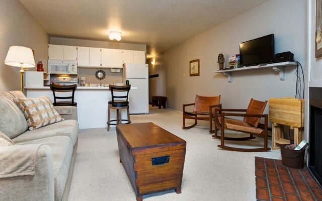 Classic 1BR Mountain Condo by RedAwning