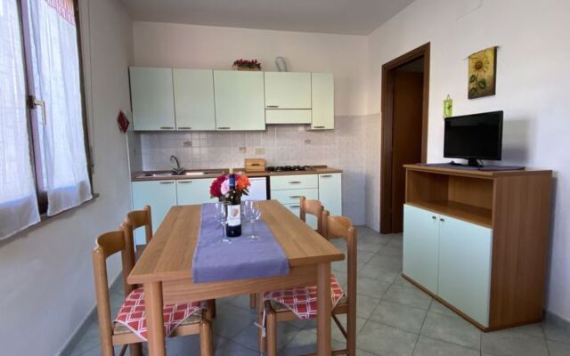 Palazzeta III (VAD151)