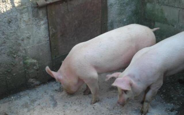 Agriturismo La Querce