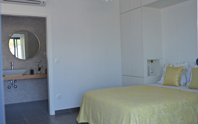 Biscuttela Vicentina