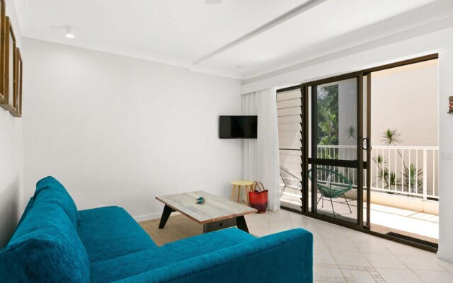 Turtle Dreaming in Palm Cove