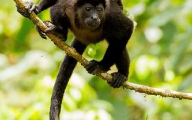 Santa Teresa Surf Vista Villas