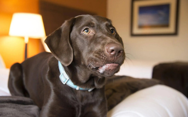 My Place Hotel - Salt Lake City I-215/West Valley City, UT