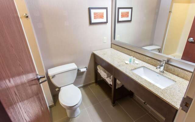 Comfort Inn Pittsburgh