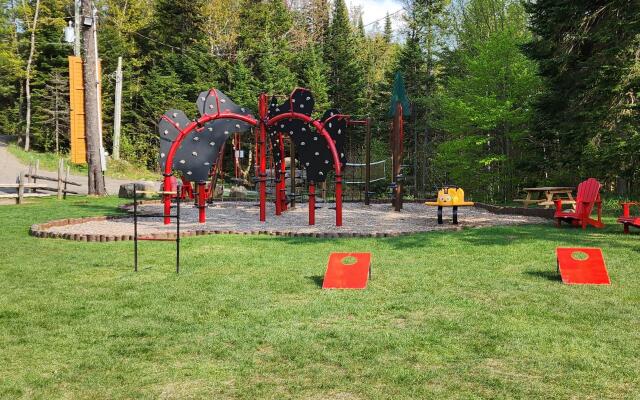 Big Bear Citq 234765