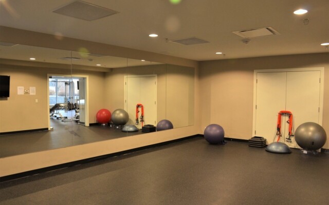 Suite Digs Alura