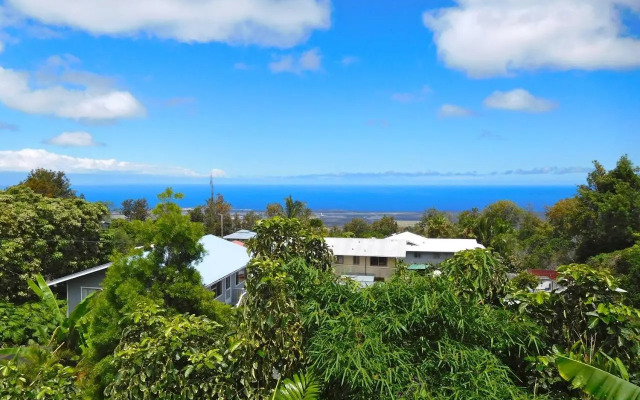 Bears' Place Guest House