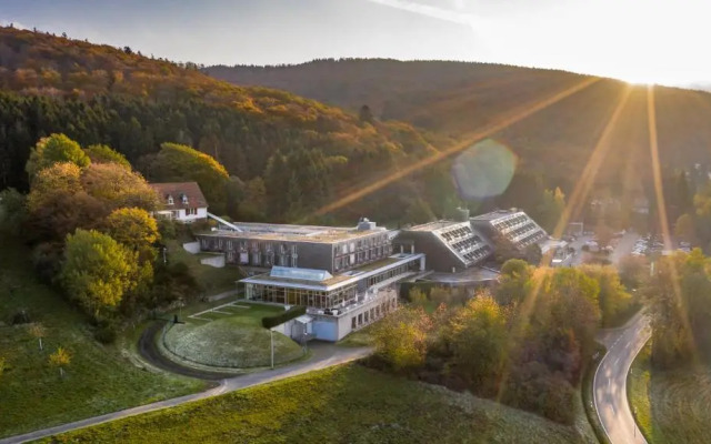 Collegium Glashütten GmbH