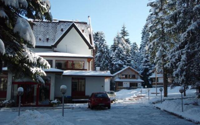 Saint George Borovets Hotel