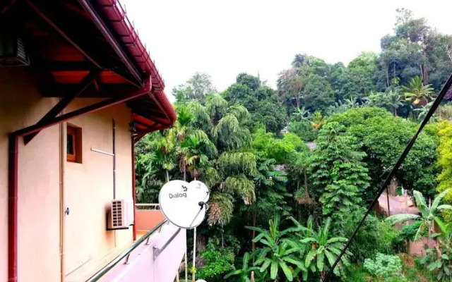 Tree Lodge