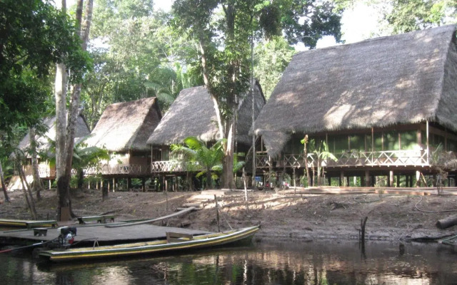 Lodge Jungle Wolf Expeditions